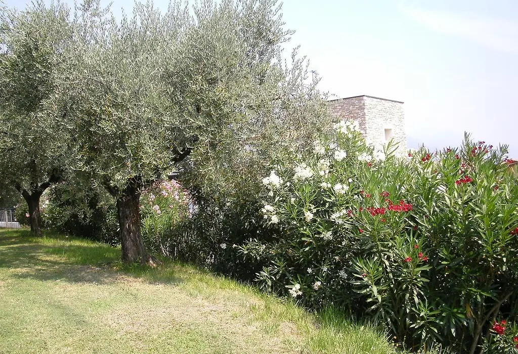 B&B Agli Ulivi-1